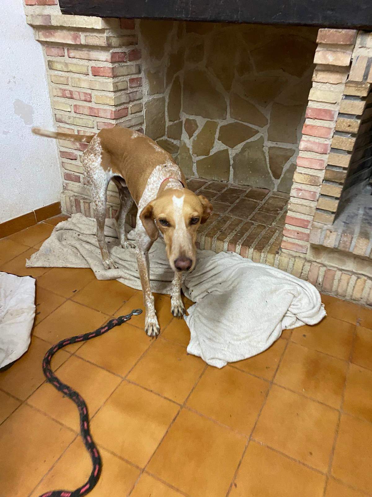 salih-sidoni_1157208829952737