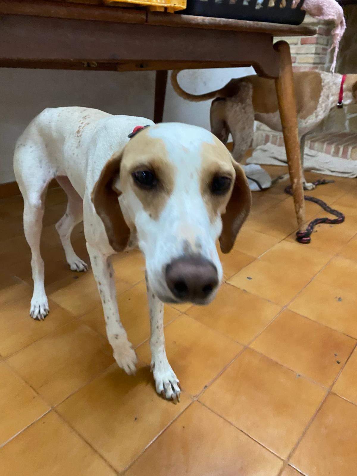 salih-sidoni_1157211063285847