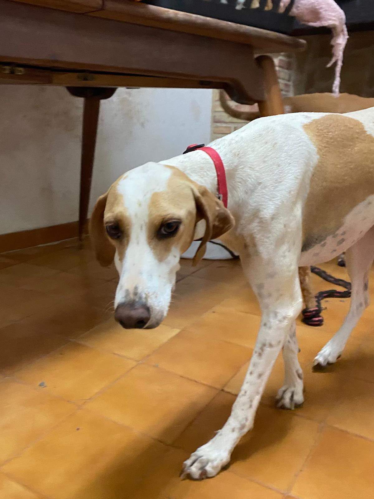 salih-sidoni_1157211073285846