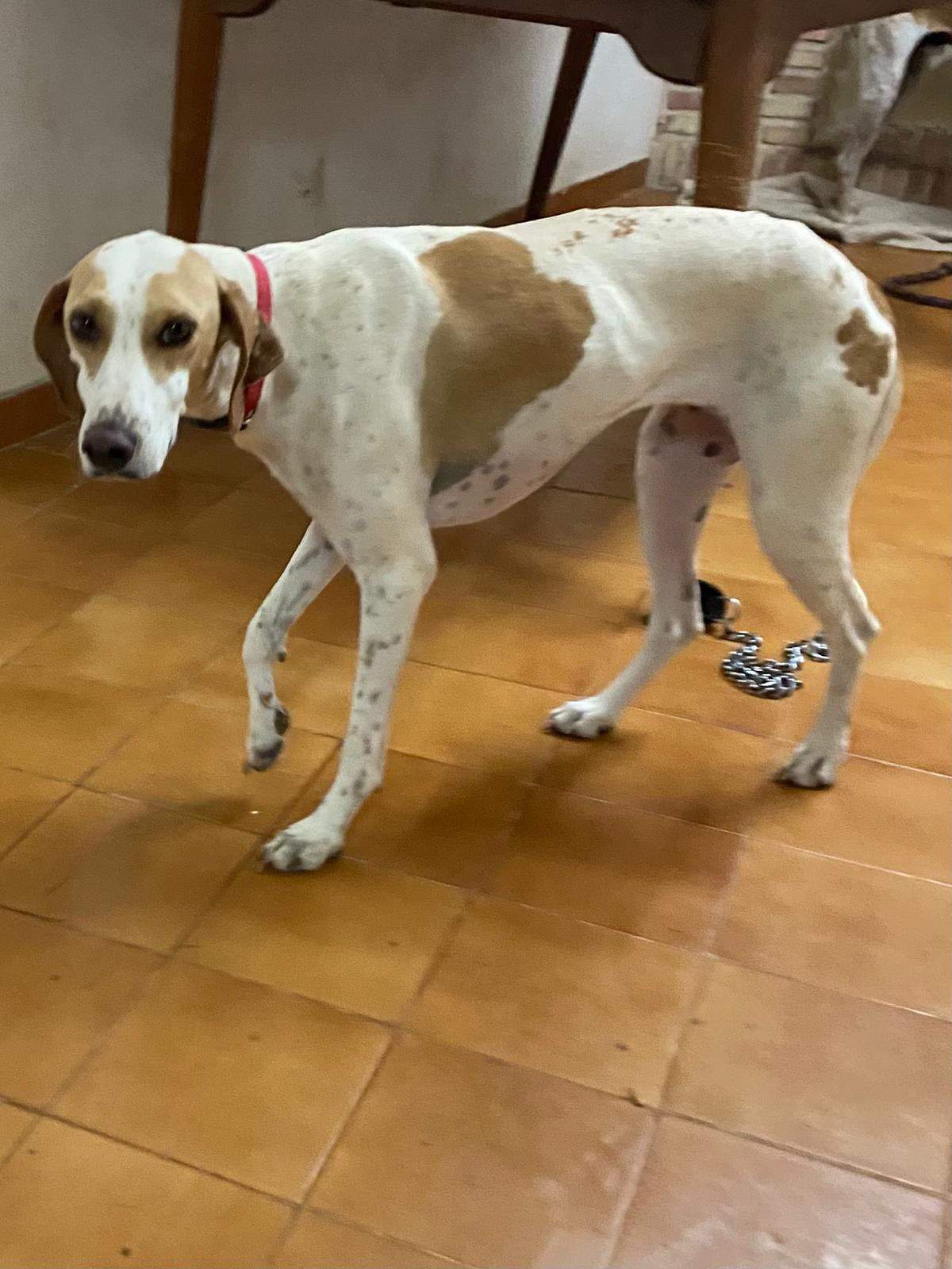 salih-sidoni_1157211183285835