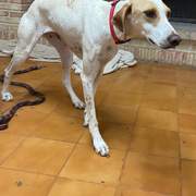 salih-sidoni_1157211253285828