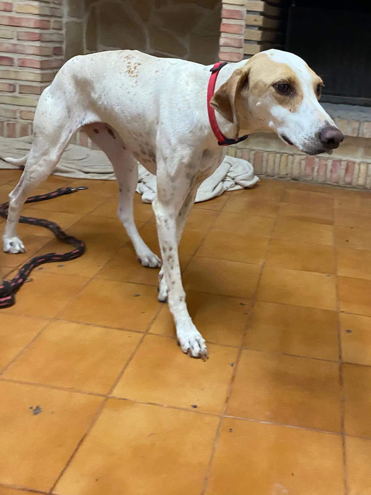 salih-sidoni_1157211253285828