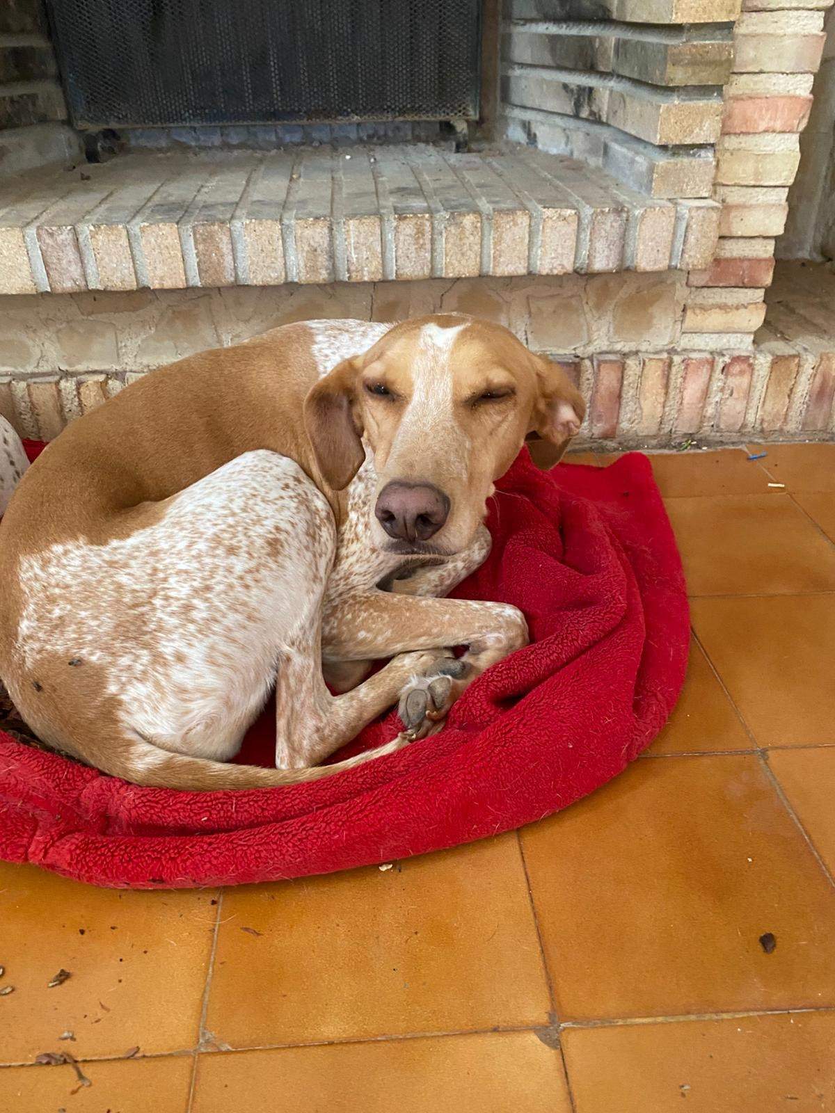 salih-sidoni_1166277829045837