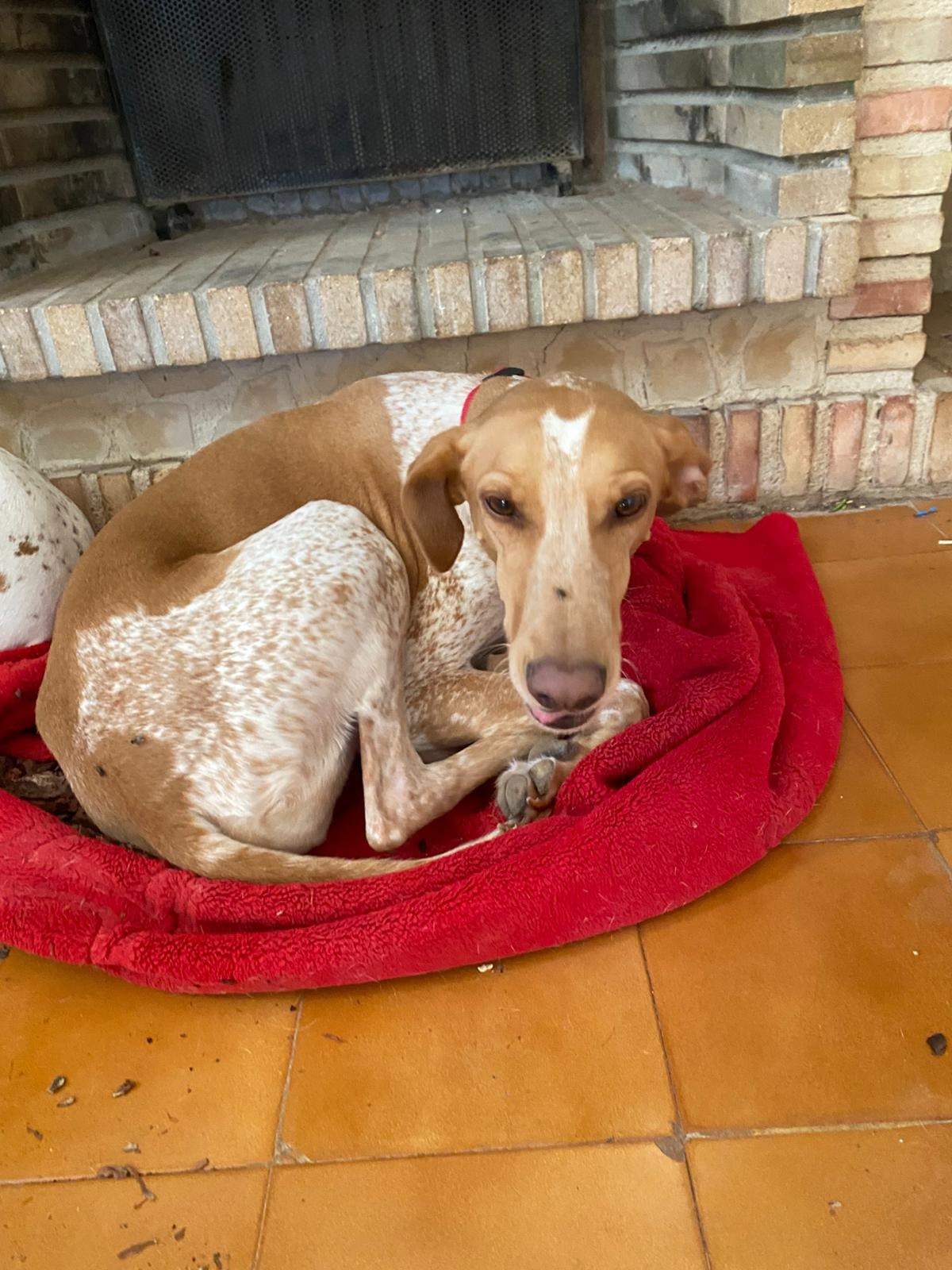 salih-sidoni_1166277952379158