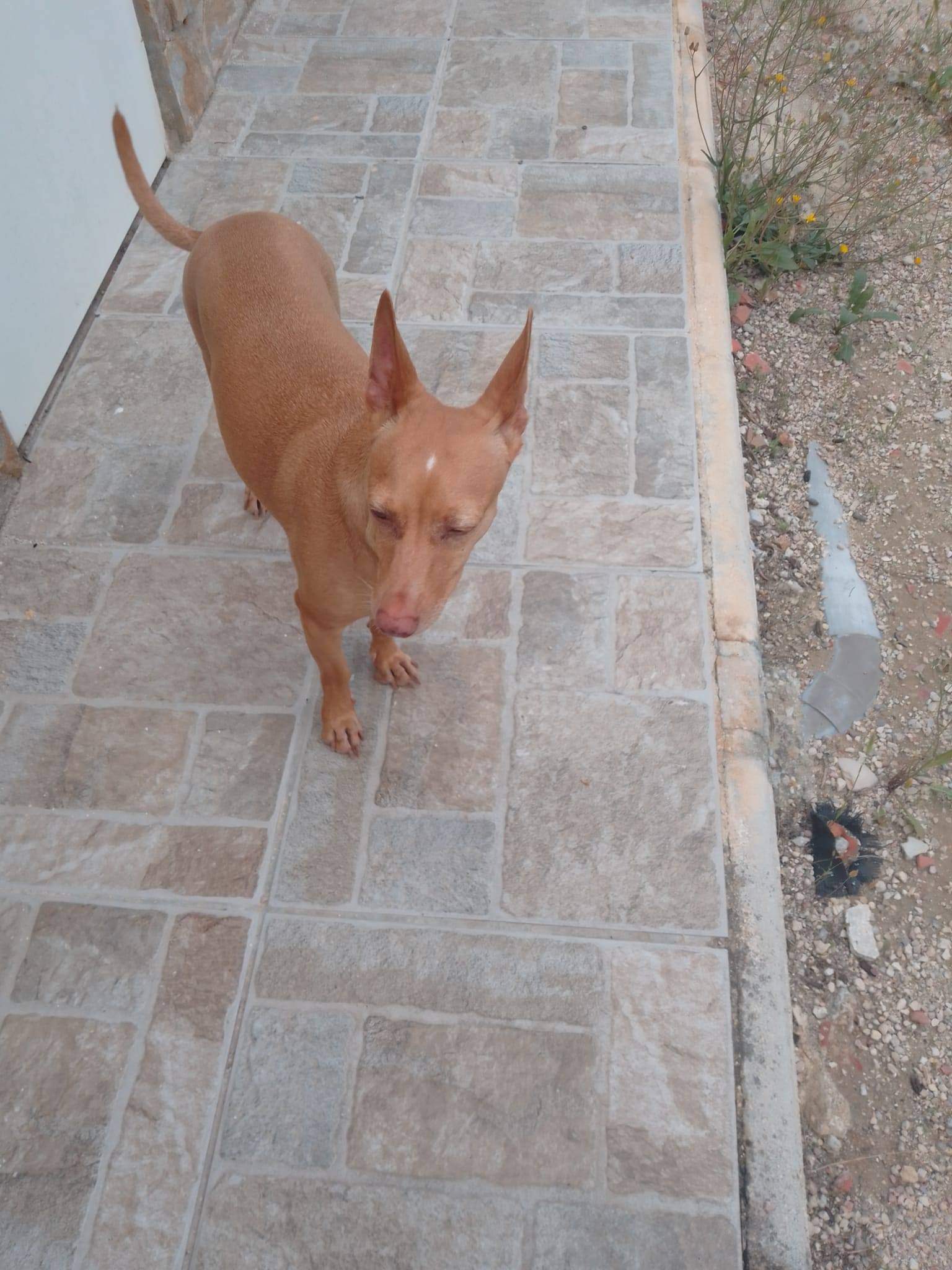 sarita_1292440176429601