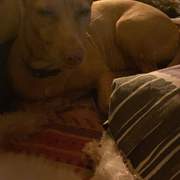 sarita_1292441003096185