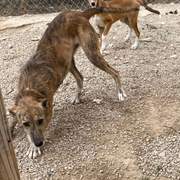 schnuki_1125000513173569