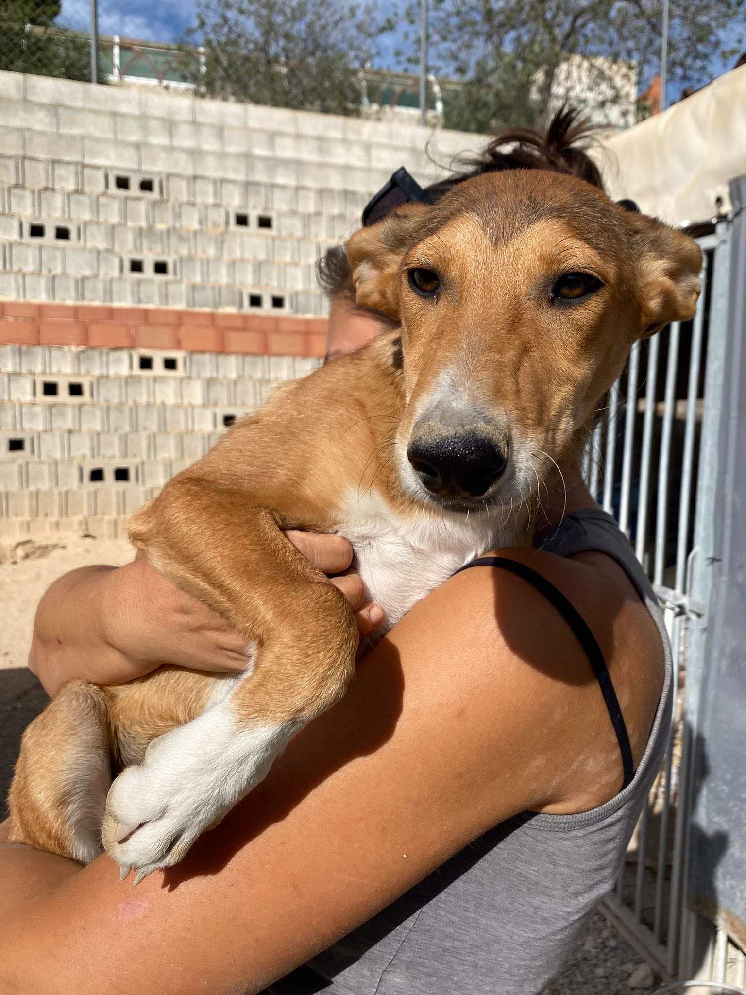 schnuki_1138067028533584