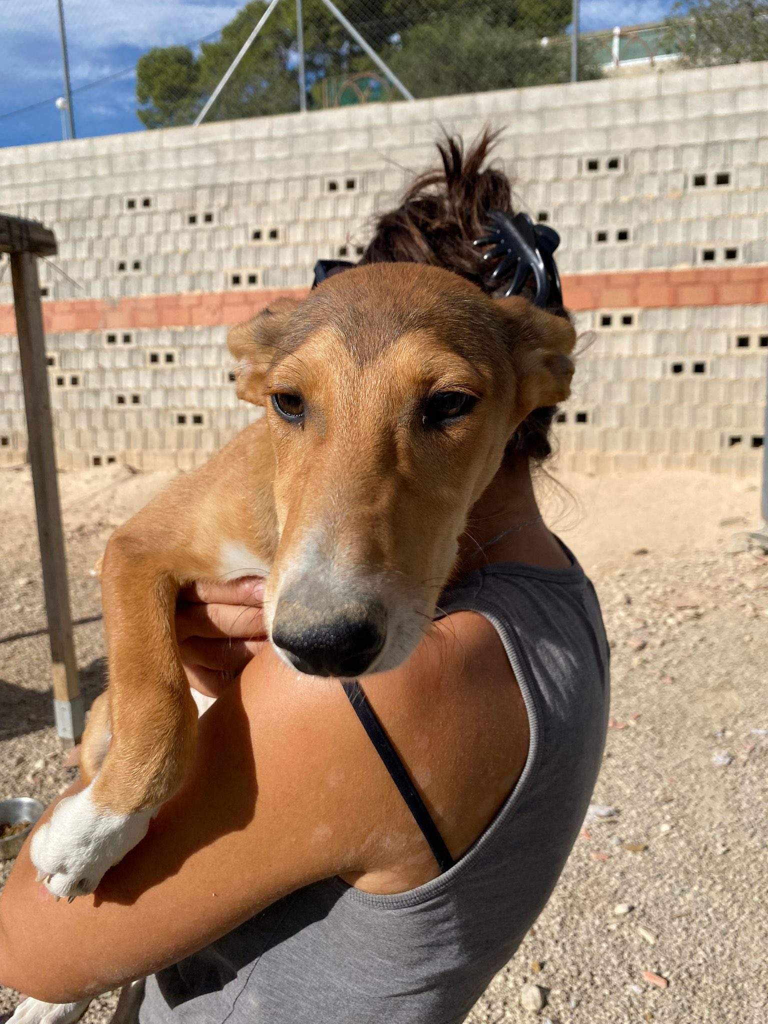 schnuki_1138067108533576