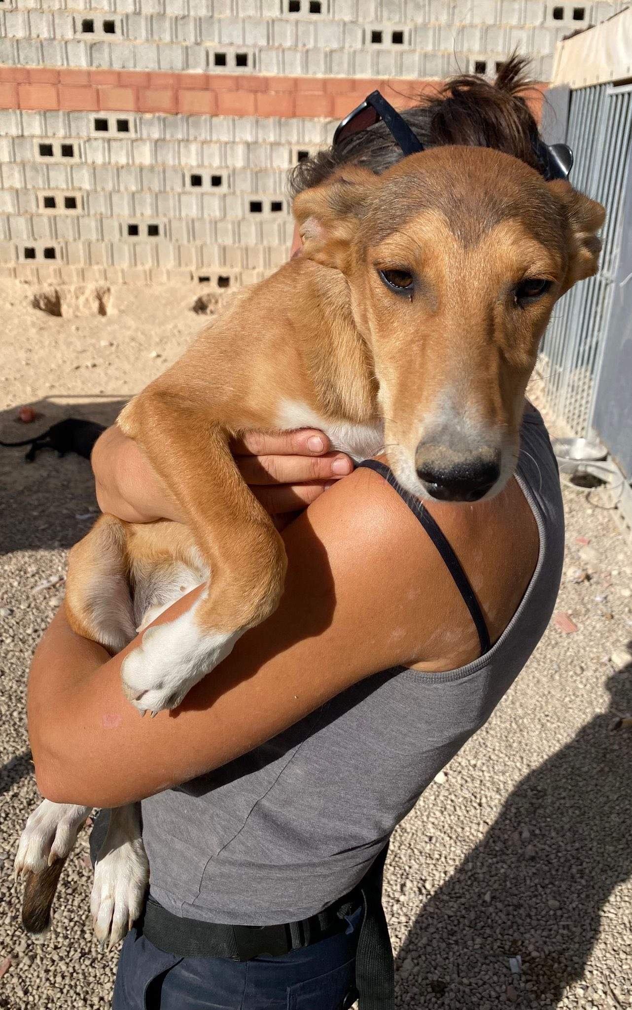 schnuki_1138067188533568