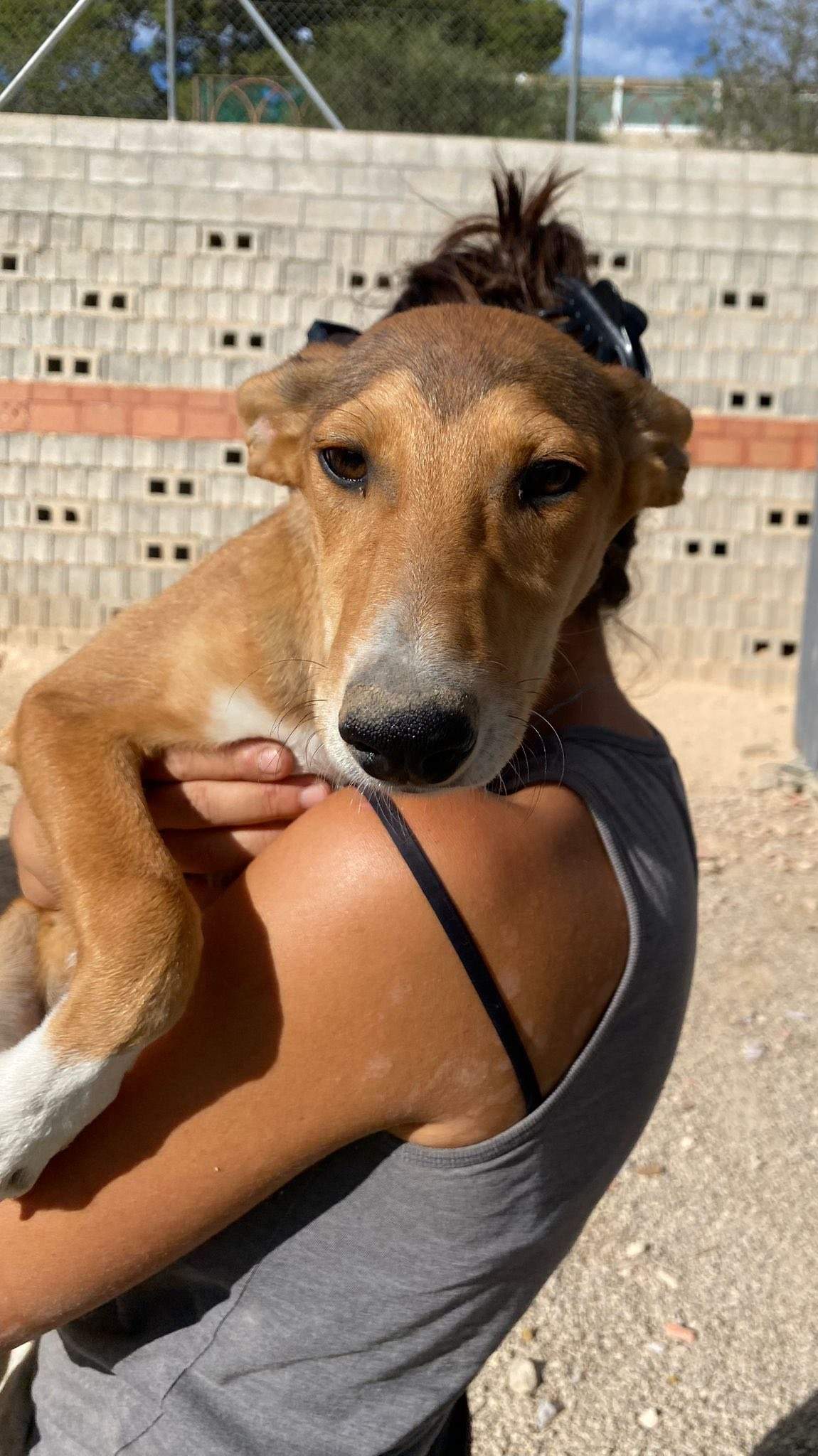 schnuki_1138067301866890