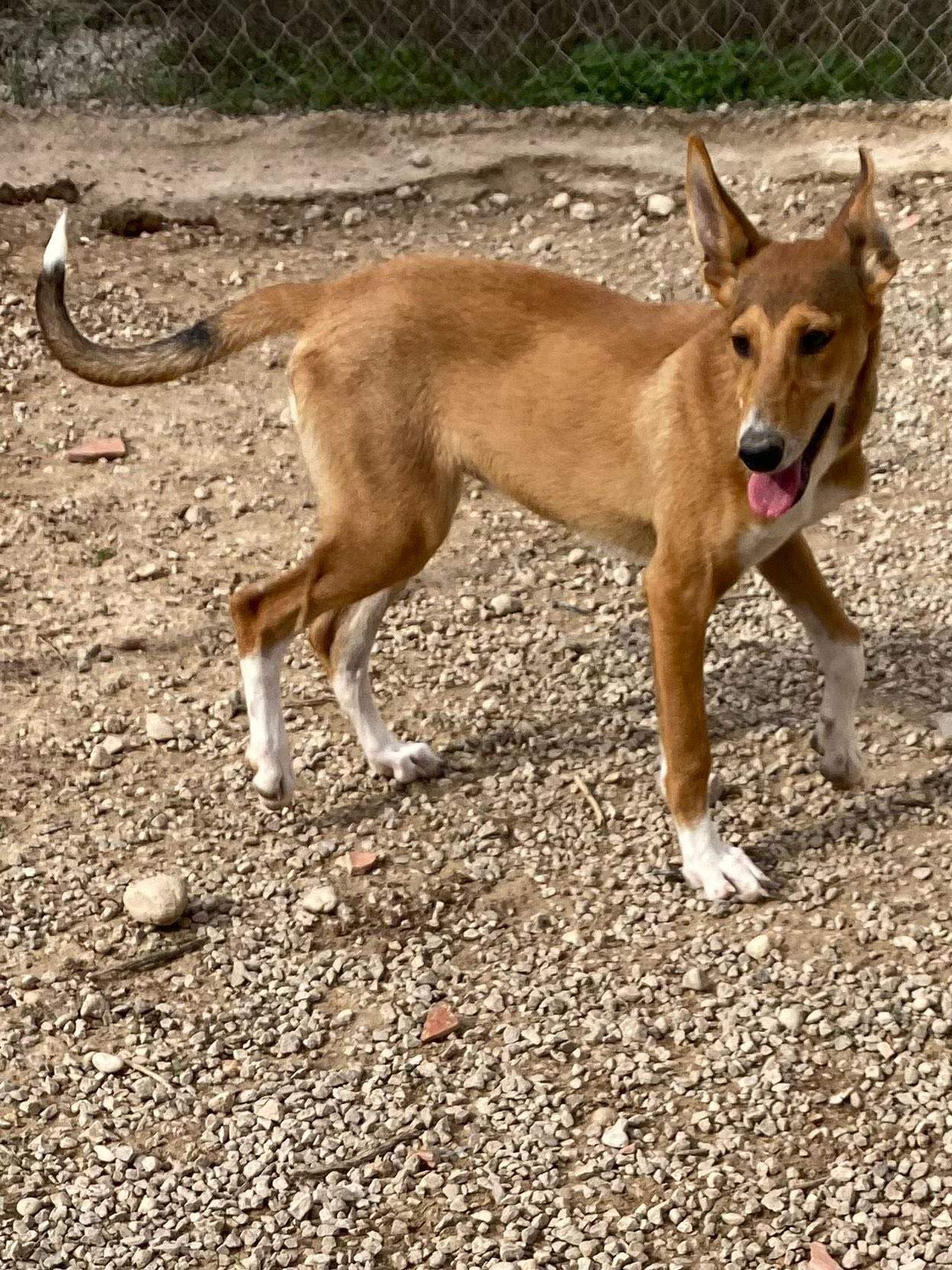 schnuki_1138082901865330