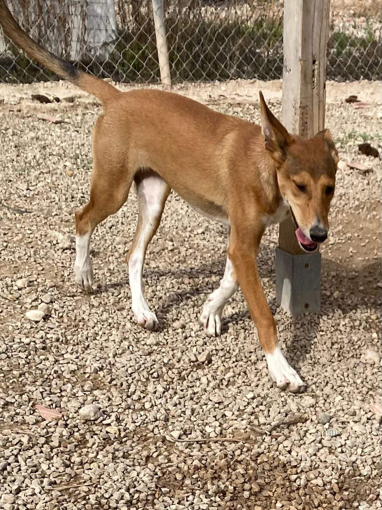 schnuki_1138082968531990