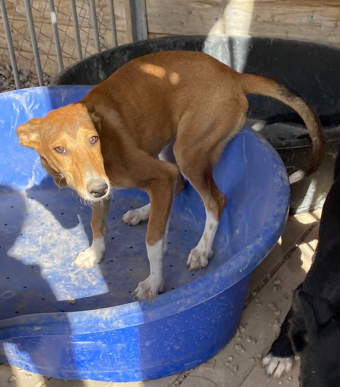 schnuki_1152246277115659