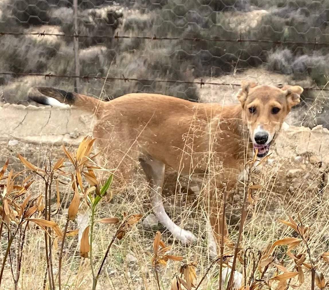 schnuki_1152246300448990