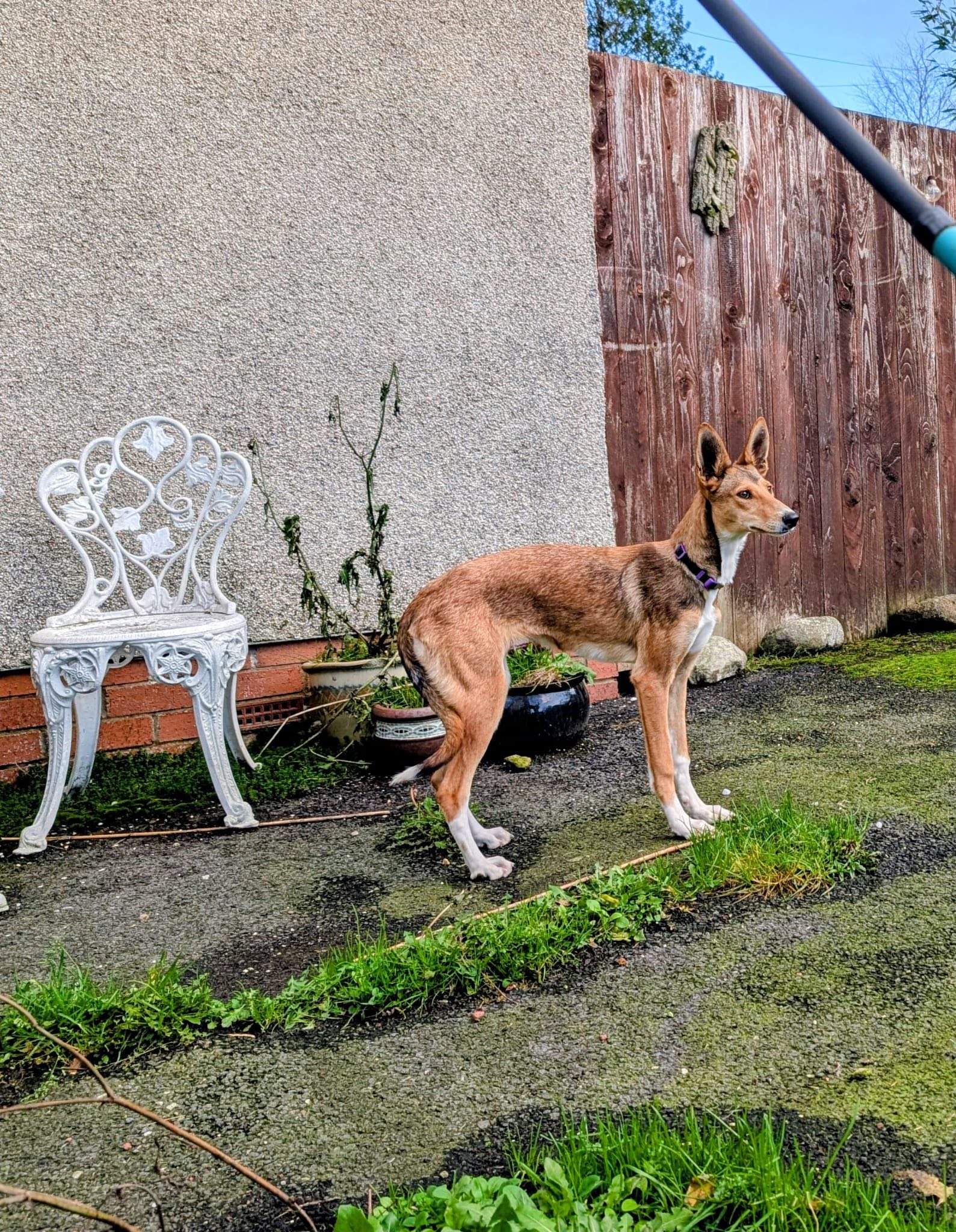 schnuki_1165747009098919