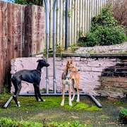 schnuki_1165747022432251