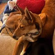 schnuki_1187258563614430