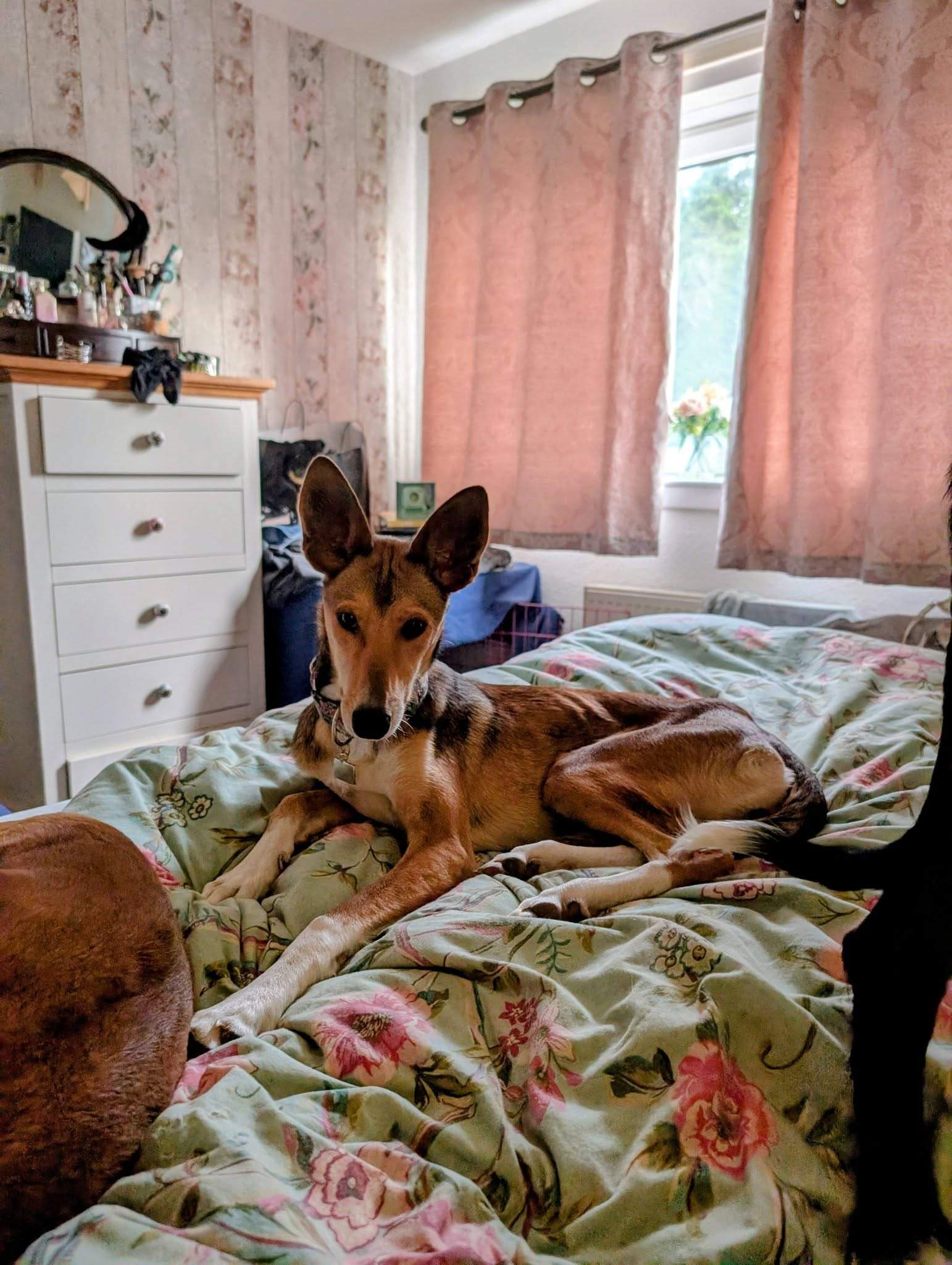 schnuki_1194285546245065