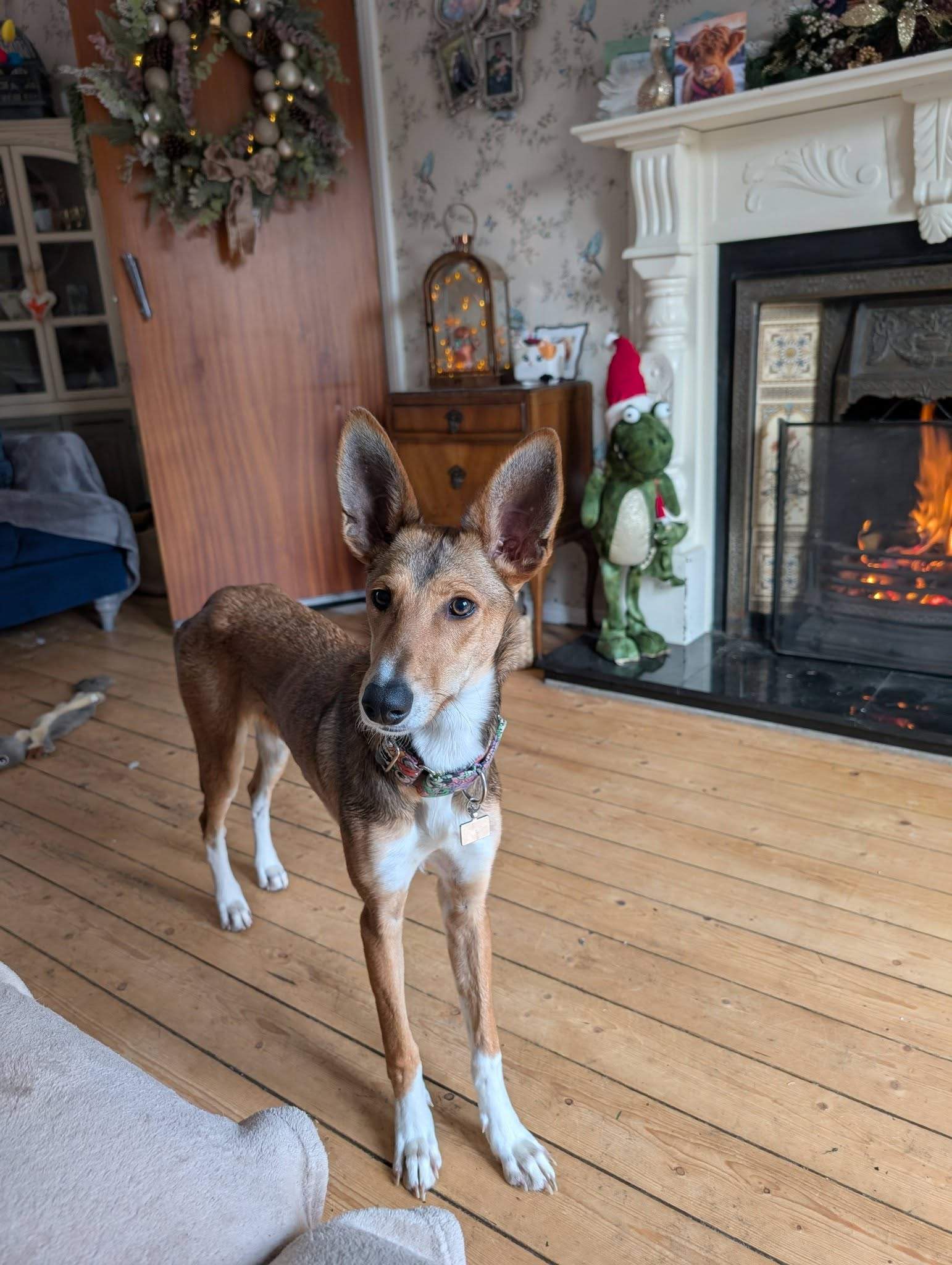 schnuki_1194285556245064