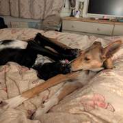 schnuki_1194285716245048