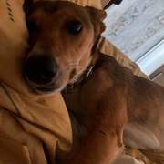 schnuki_1334637498876535