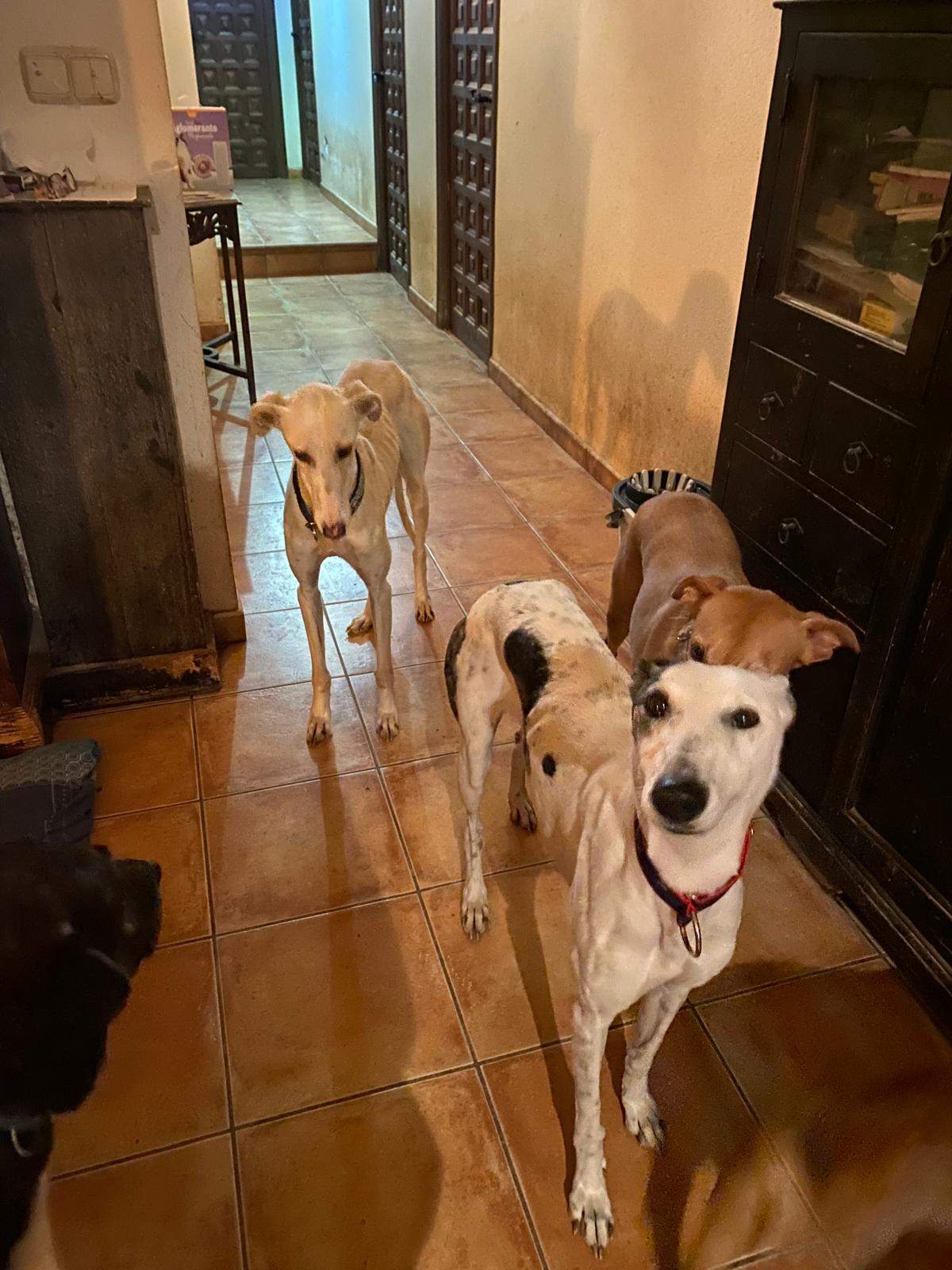 sparkles_1197239042616382