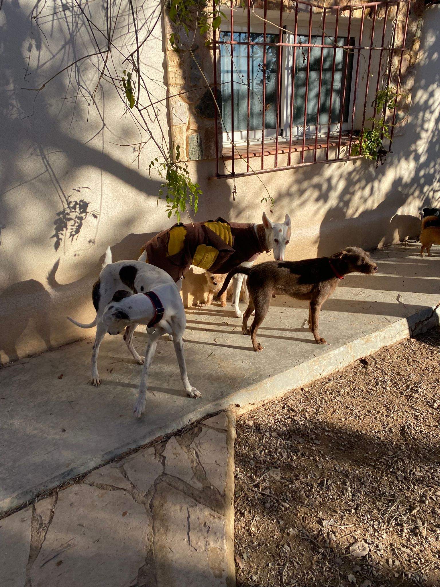 sparkles_1197239075949712