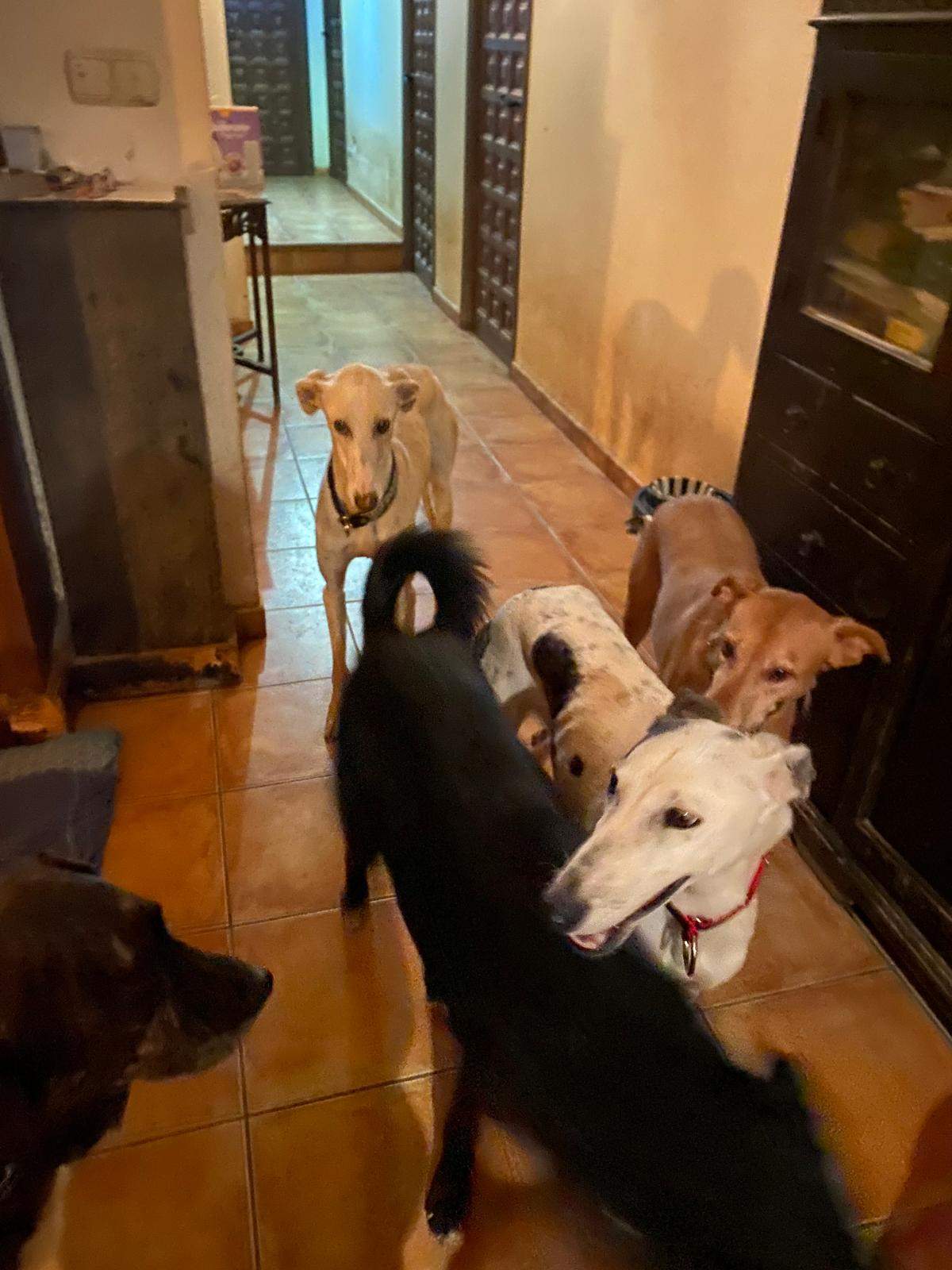 sparkles_1197239092616377