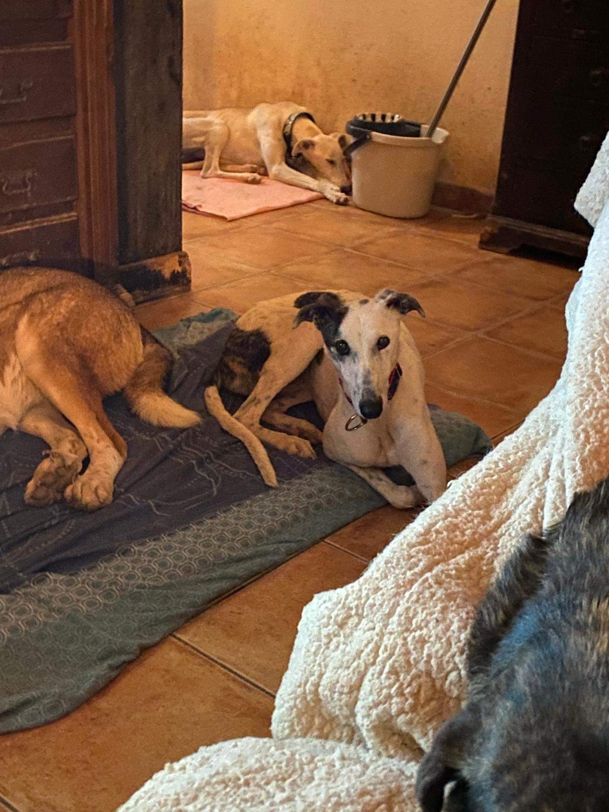 sparkles_1197239142616372