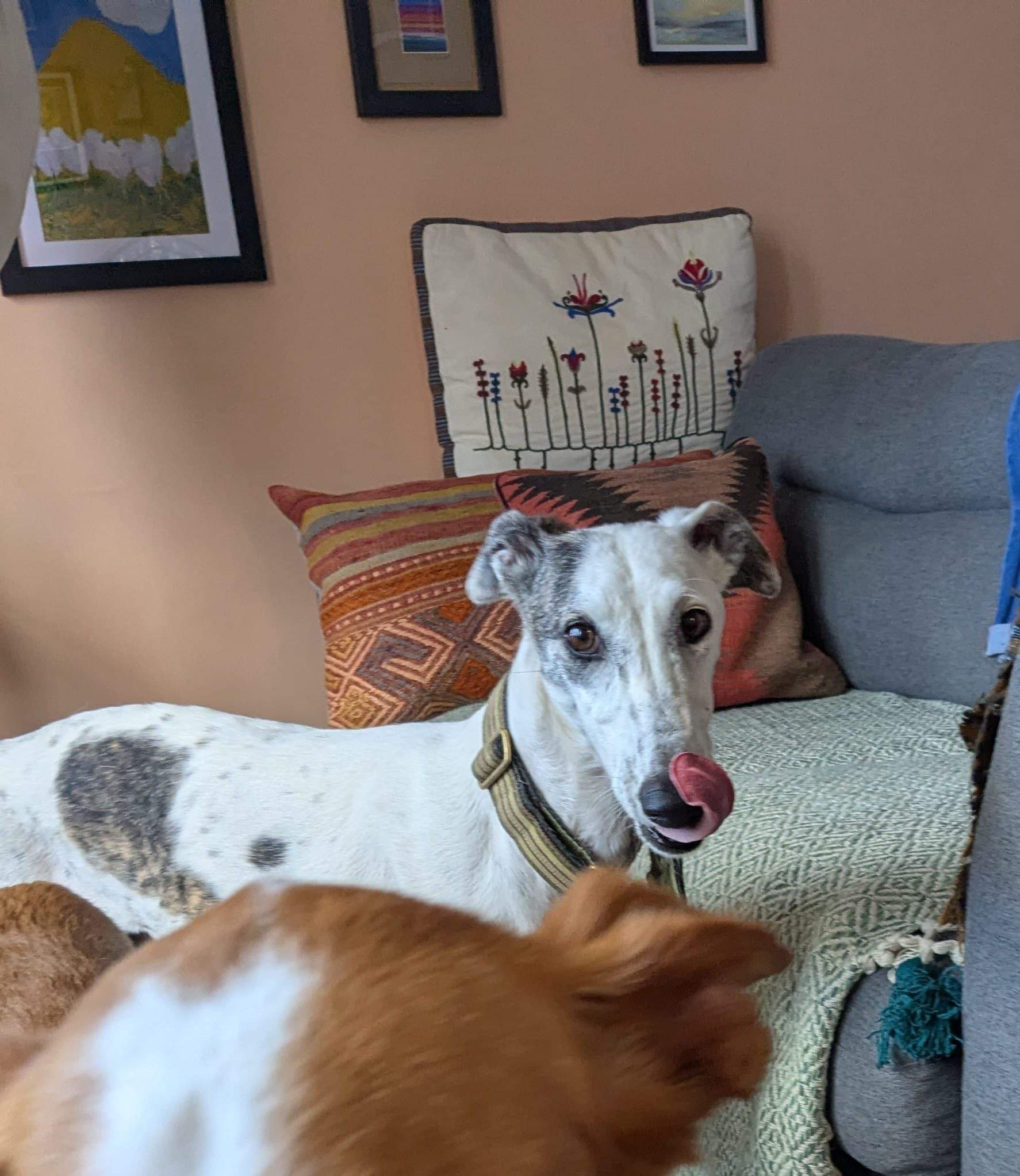 sparkles_1273156995024586