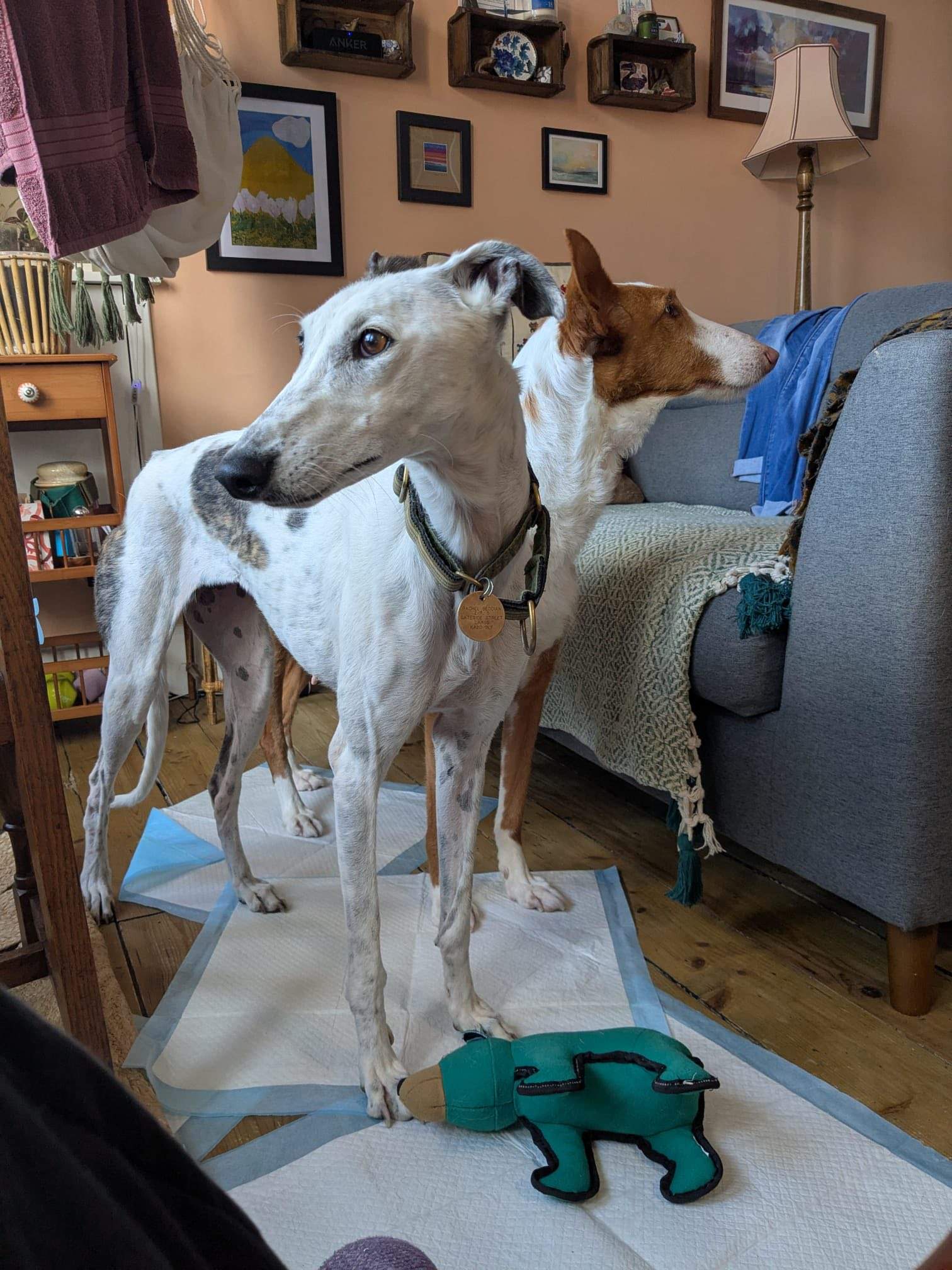 sparkles_1273157051691247