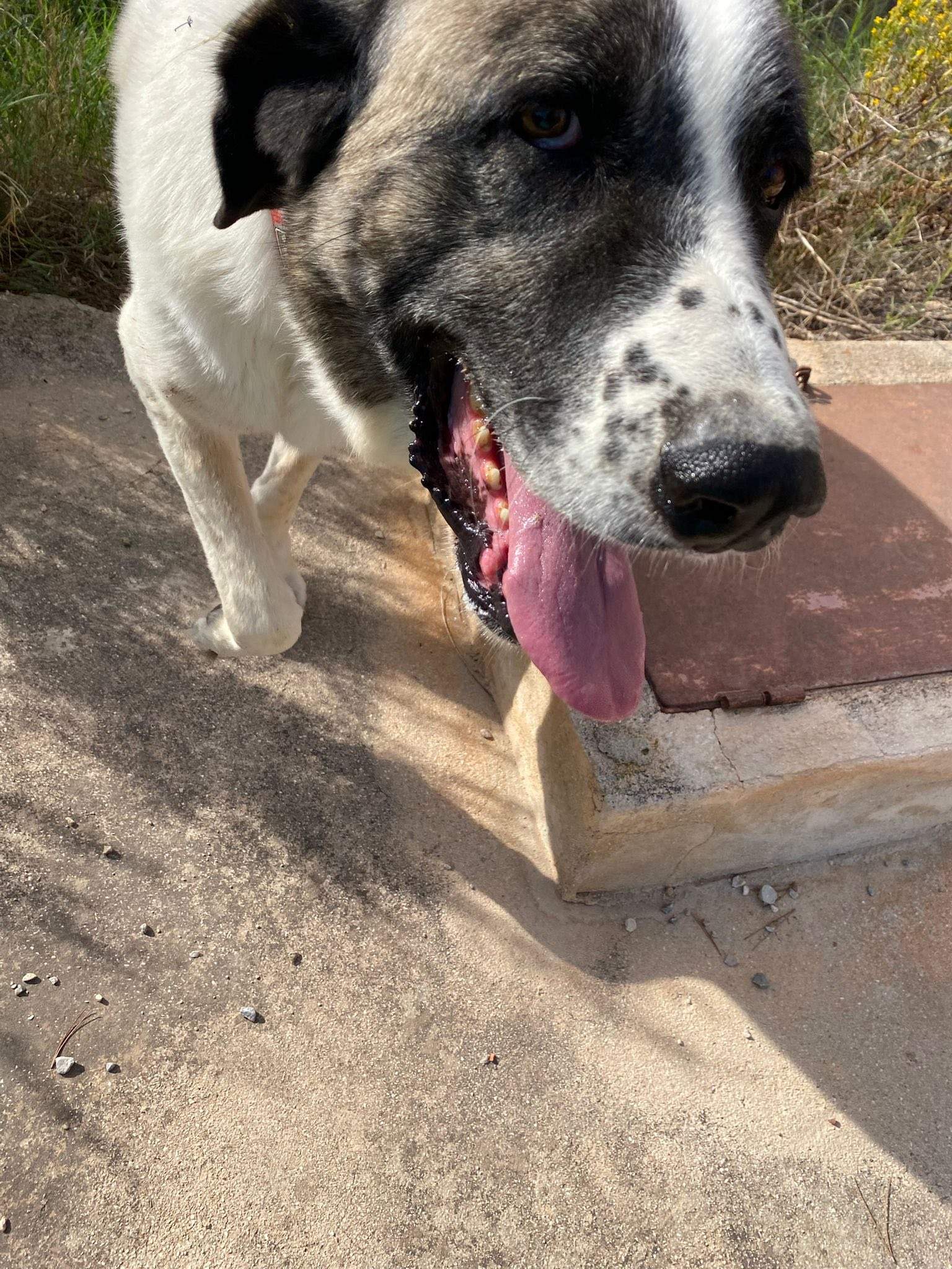 stan-the-man_1138031158537171