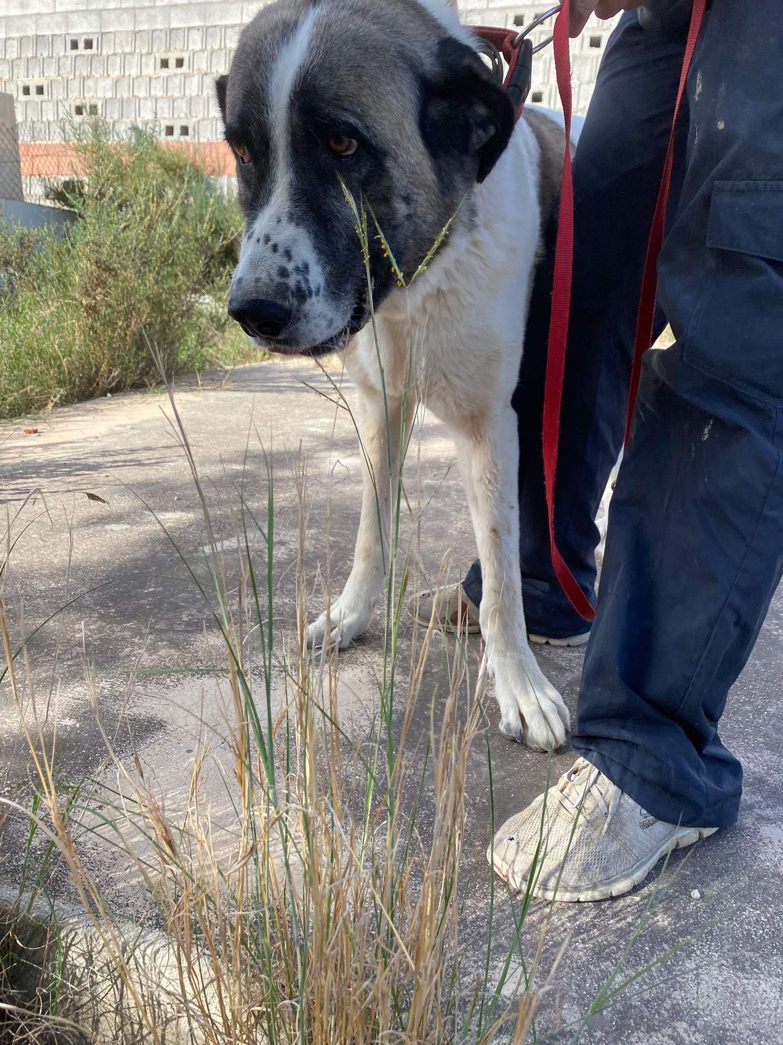 stan-the-man_1138031171870503