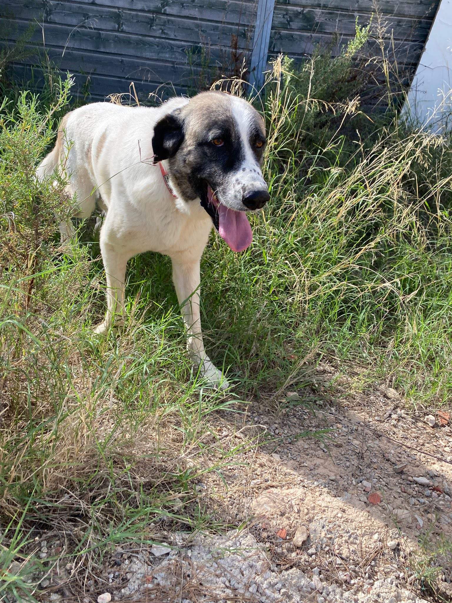 stan-the-man_1138031305203823