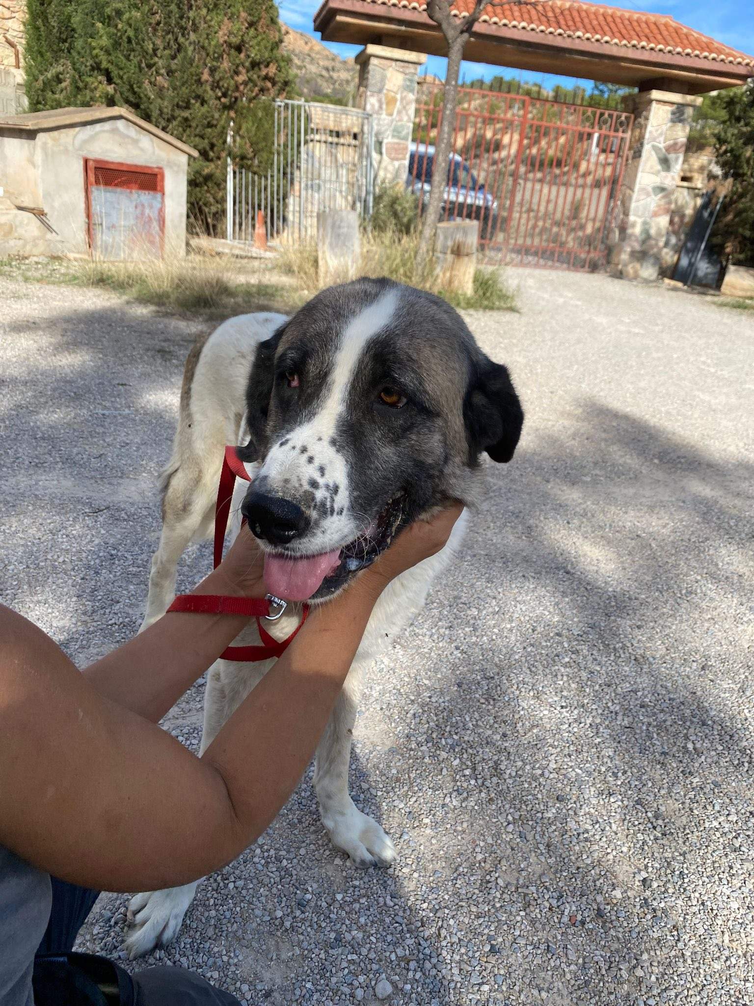 stan-the-man_1138031318537155