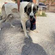 stan-the-man_1138031381870482