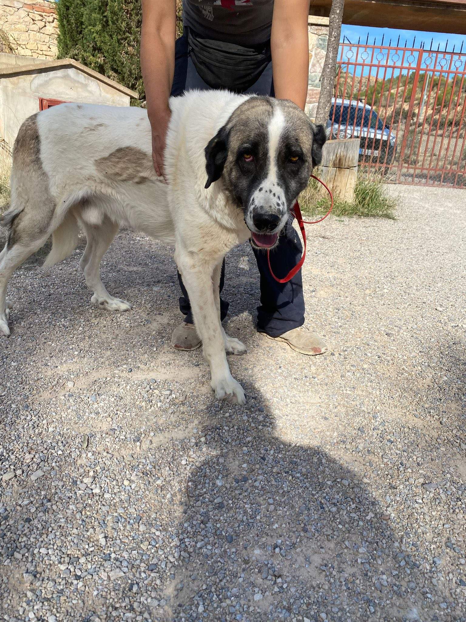 stan-the-man_1138031381870482