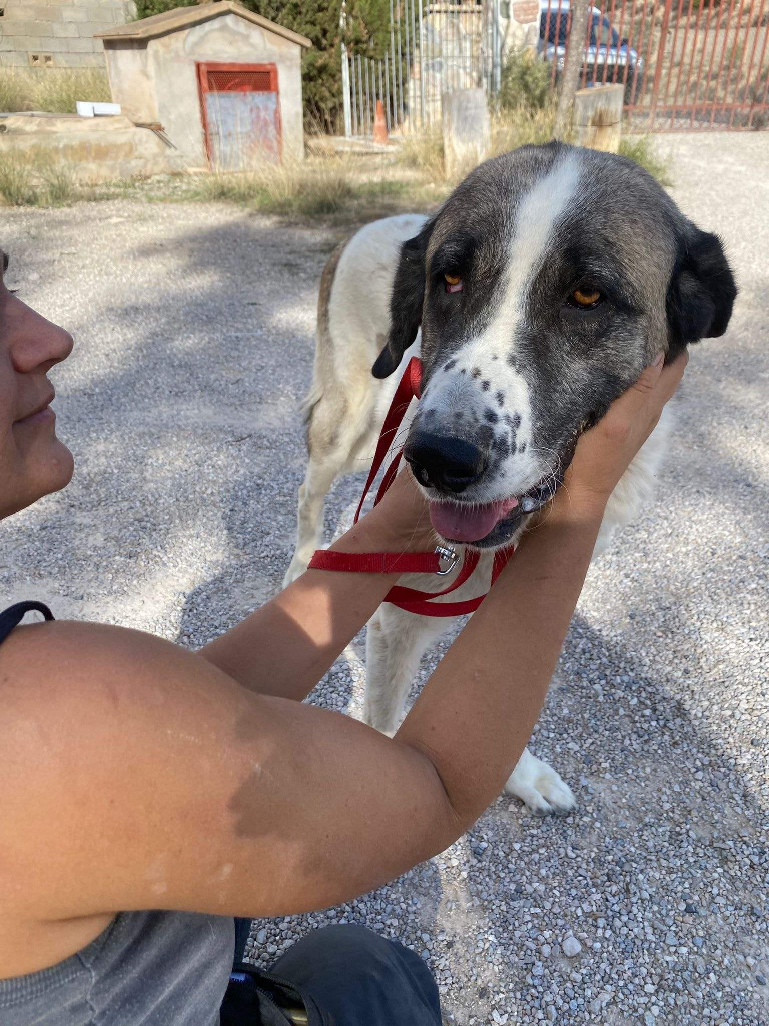 stan-the-man_1152231767117110