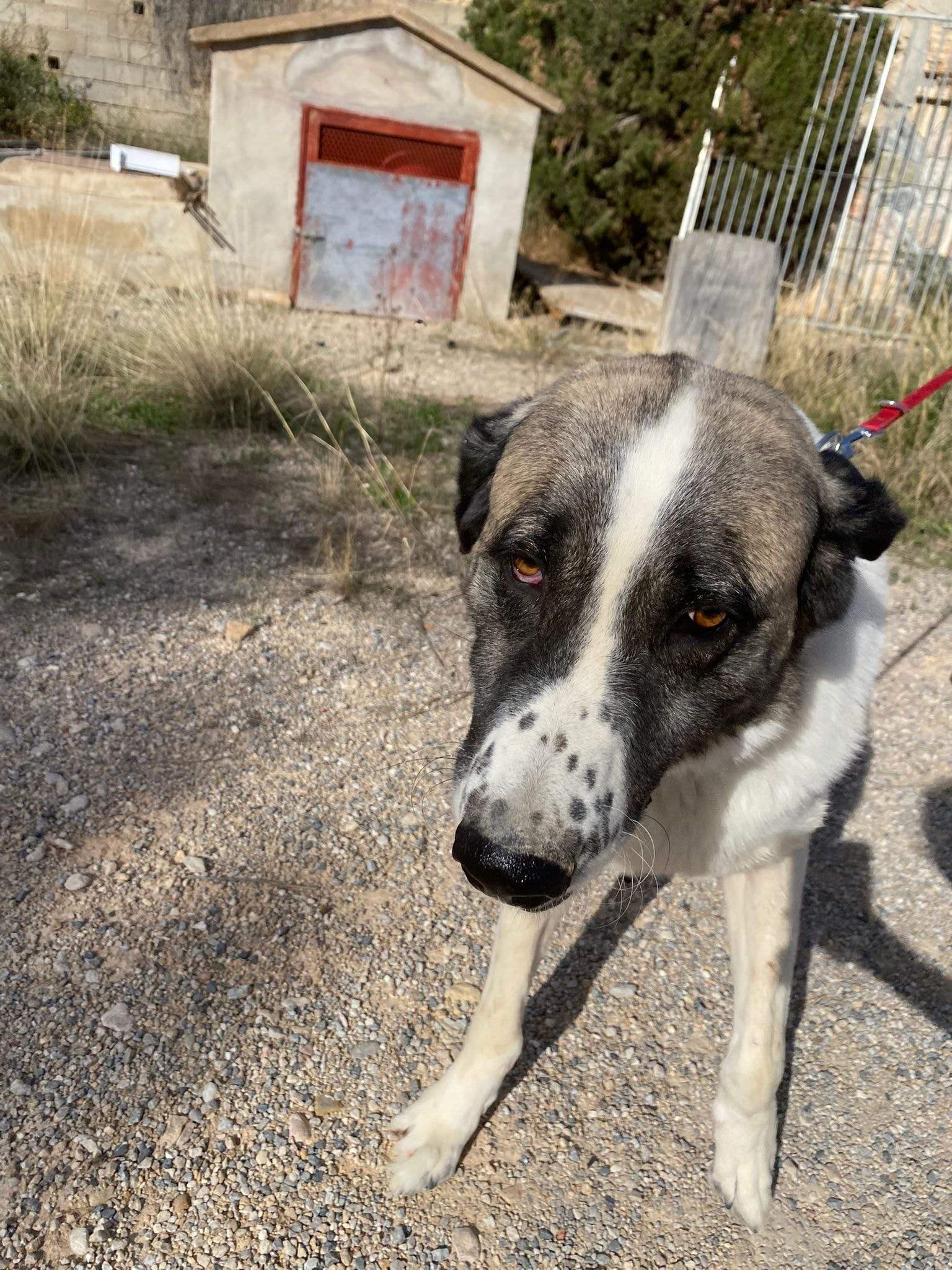 stan-the-man_1152231917117095