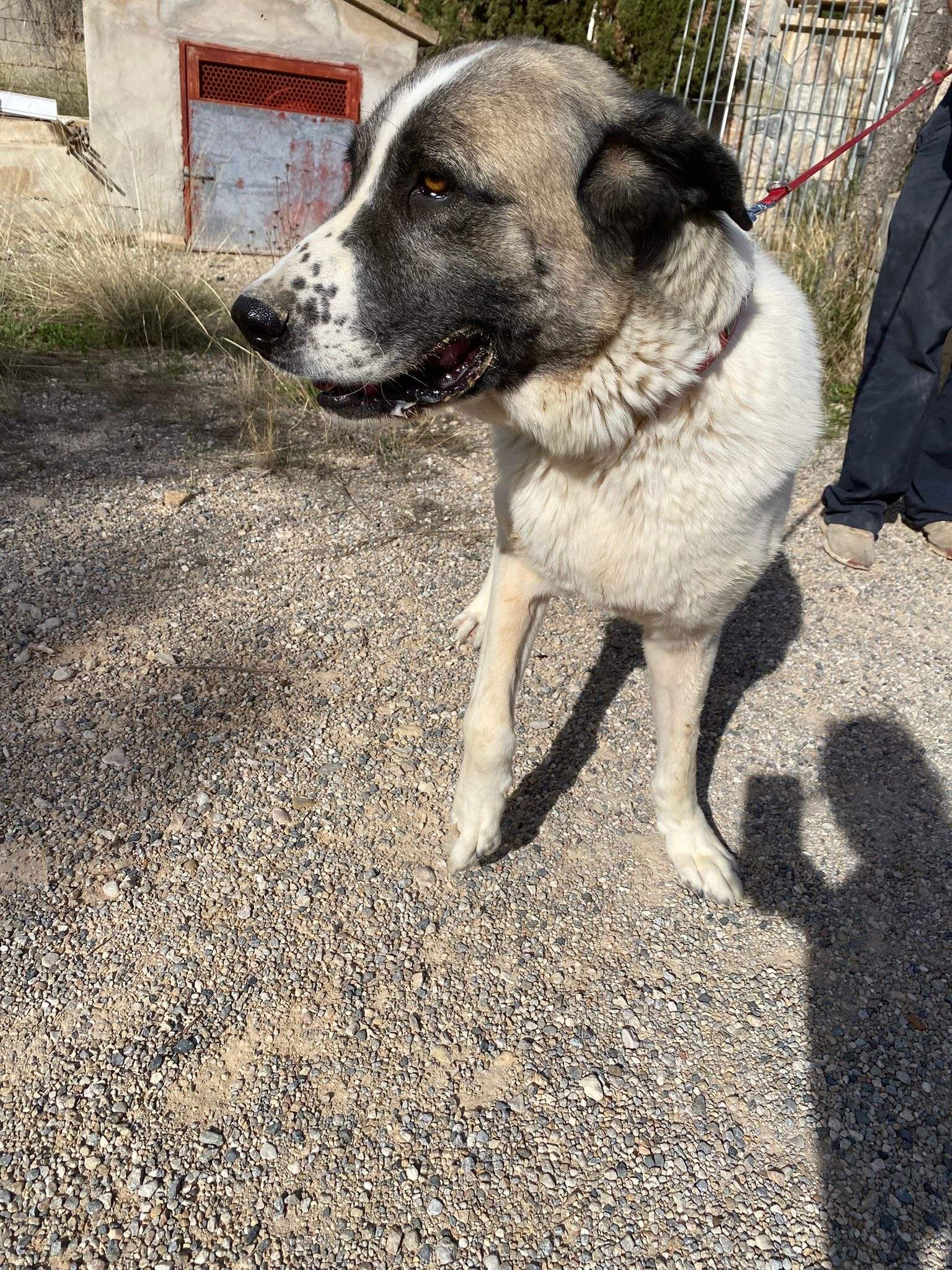 stan-the-man_1152231973783756