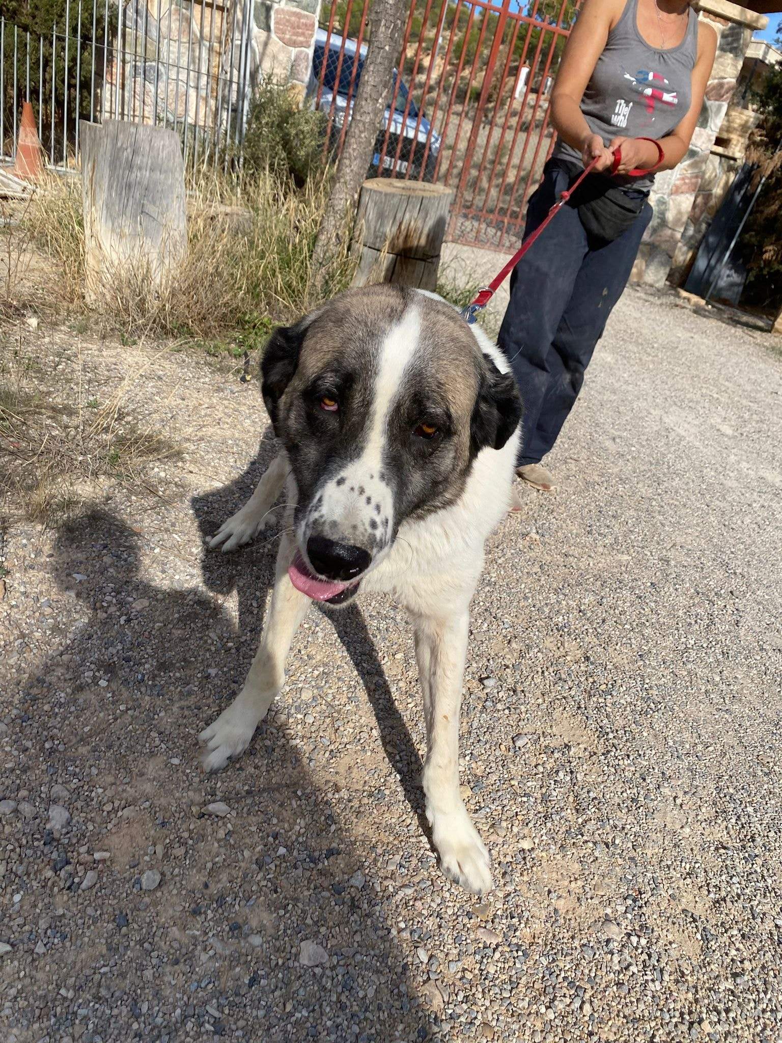 stan-the-man_1152232040450416