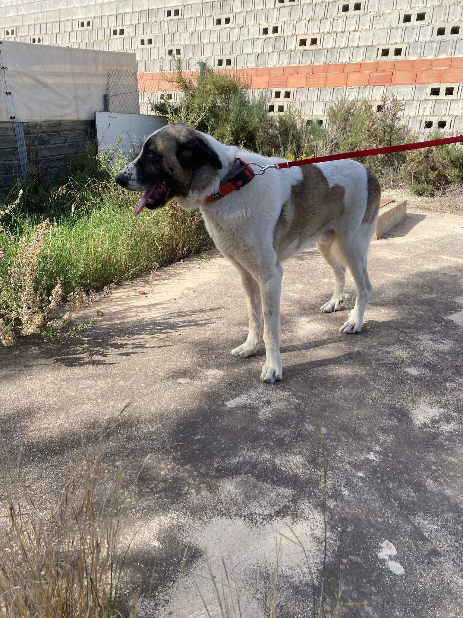 stan-the-man_1152232070450413