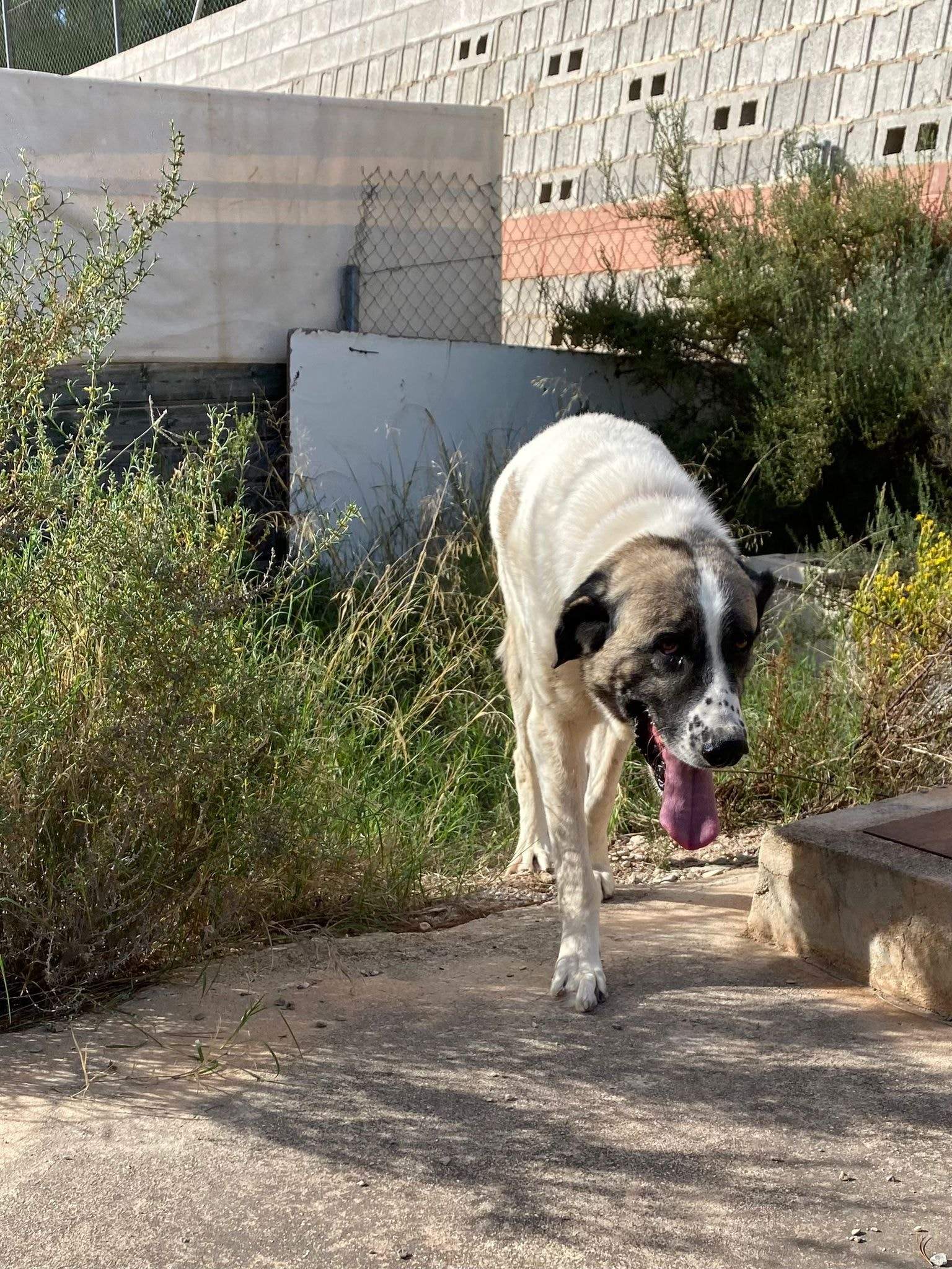 stan-the-man_1152232107117076