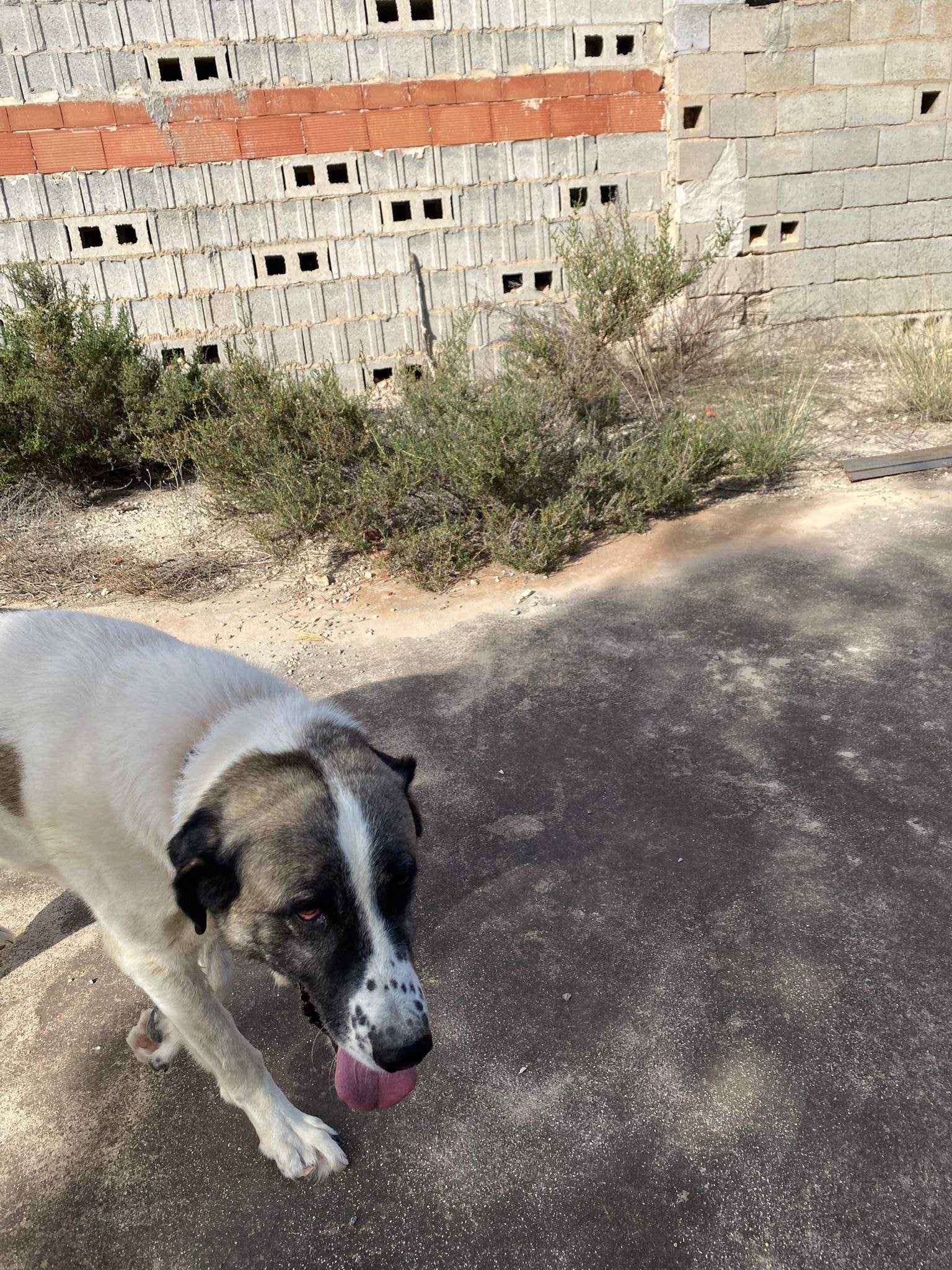 stan-the-man_1152232150450405