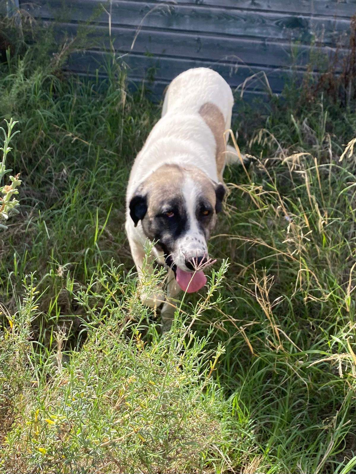 stan-the-man_1152232330450387