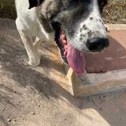 stan-the-man_1152232383783715