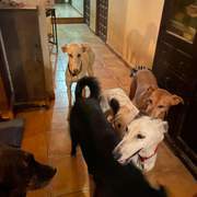 storm_1197241359282817