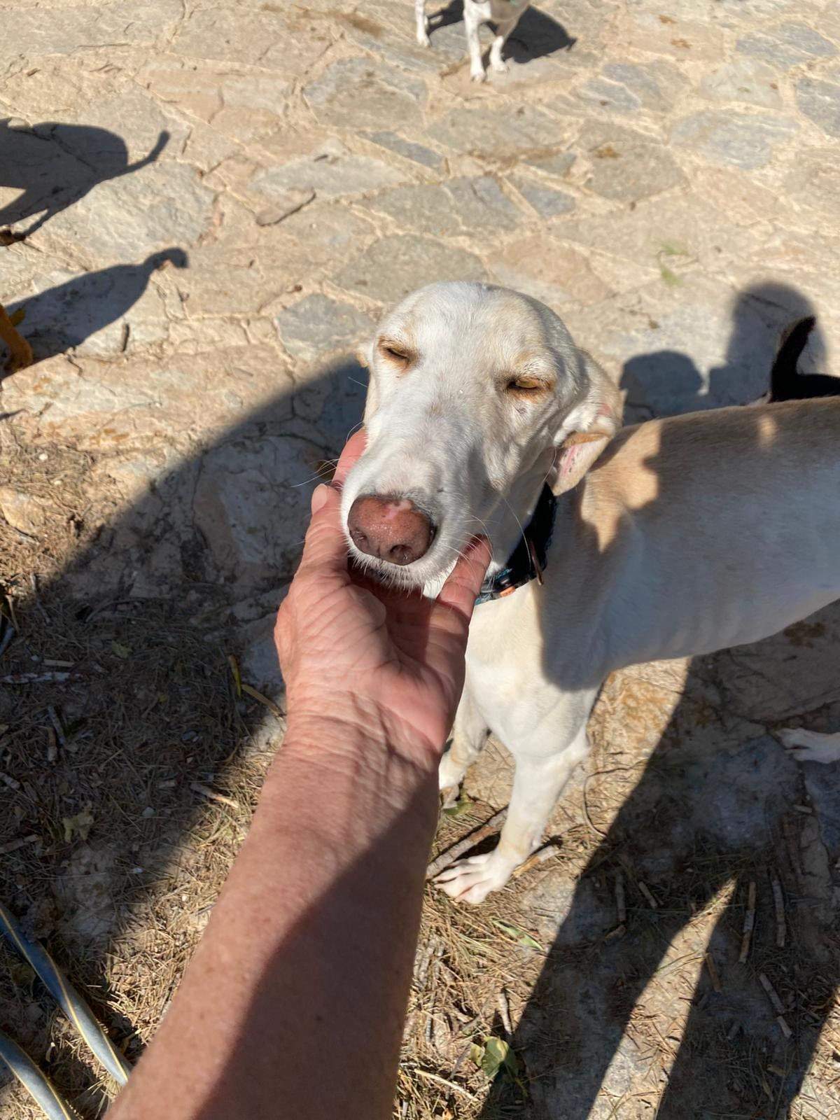 storm_1229791422694477