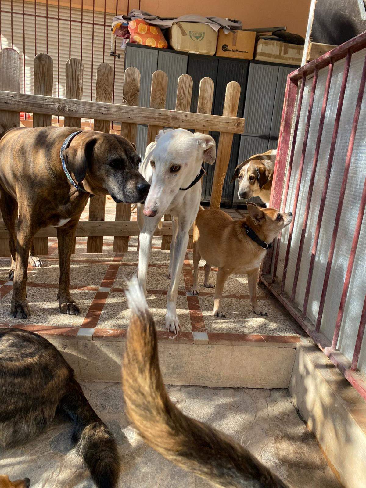 storm_1229791436027809